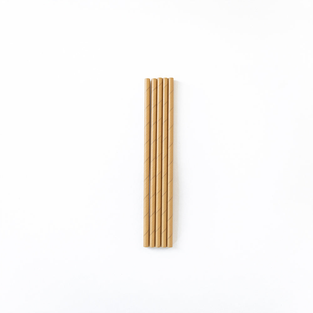 Kraft Paper Straws - Jumbo